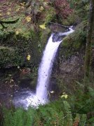 Waukeena Mult Falls 11.26.05 068 